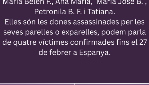 🟣 Nous casos de violència masclista – Febrer 2026